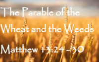 Wheat Parable