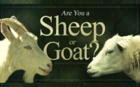 Are You A Sheep or a Goat?